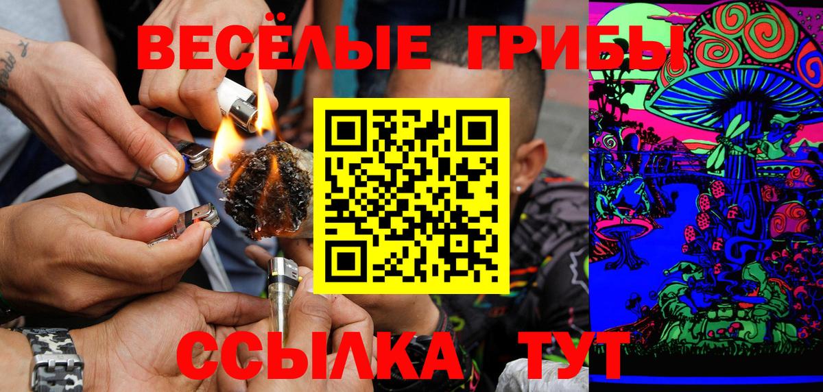 Мценск  Псилоцибиновые грибы ЛСД  Вход с VPN 